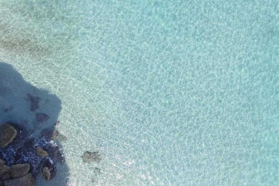Photo of Others in Torre dell'Orso
