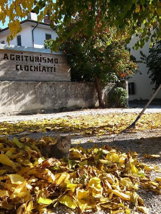 Photo of Others in Povoletto