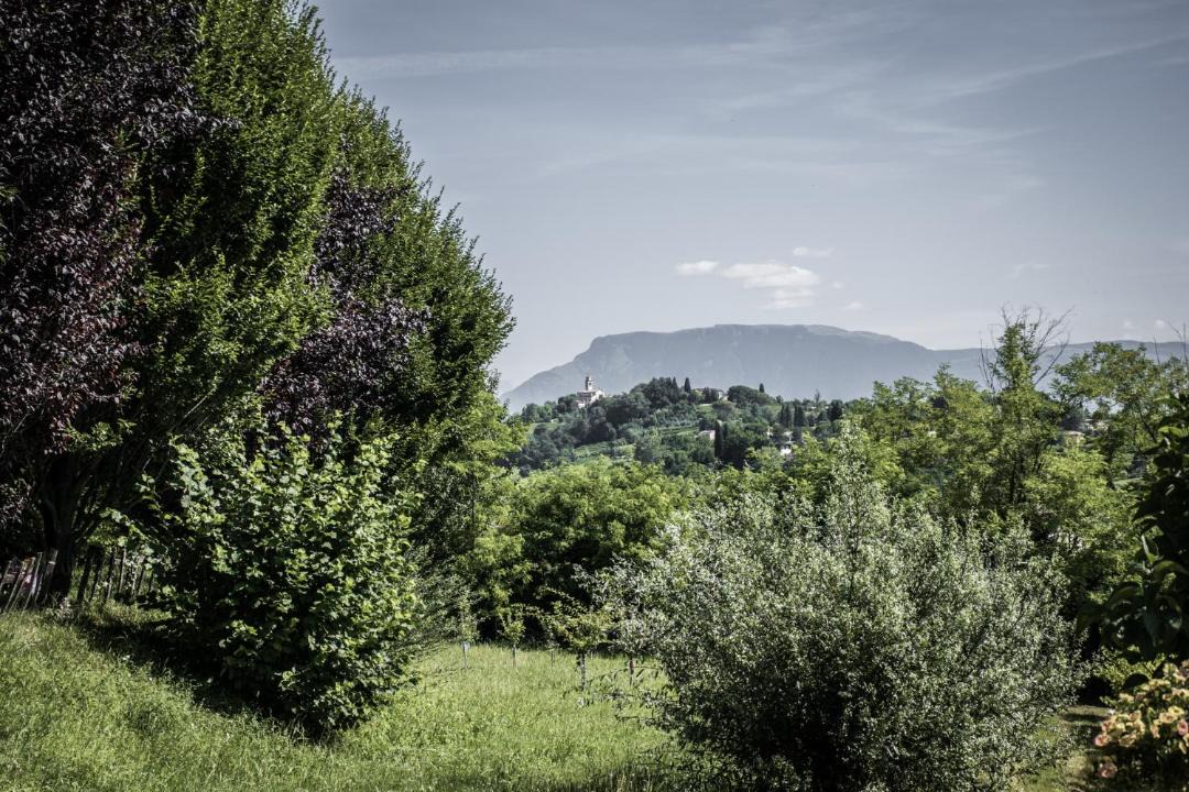 Photo of Others in Susegana