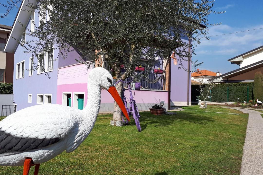 Photo of Others in Bussolengo
