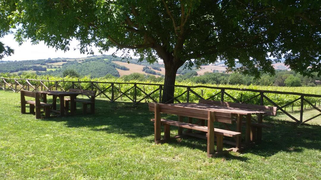 Photo of Others in Colpetrazzo