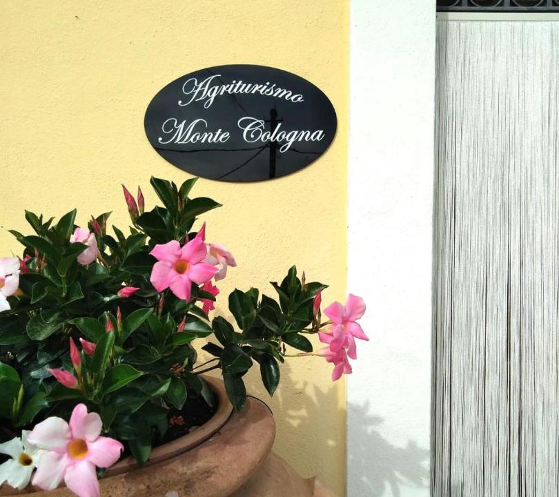 Photo of Others in Foligno