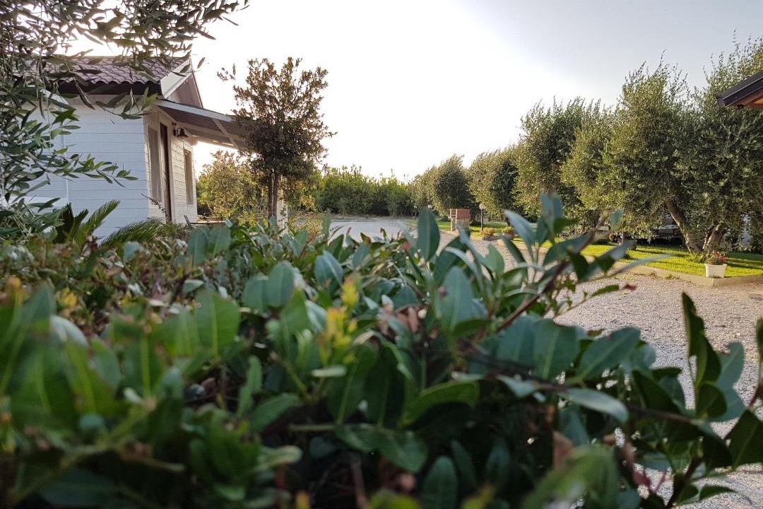 Photo of Others in Rotondella