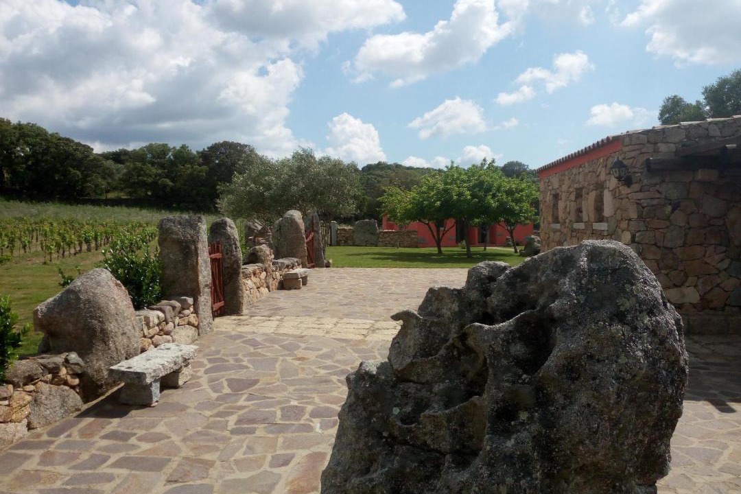 Photo of Others in Sa Castangia