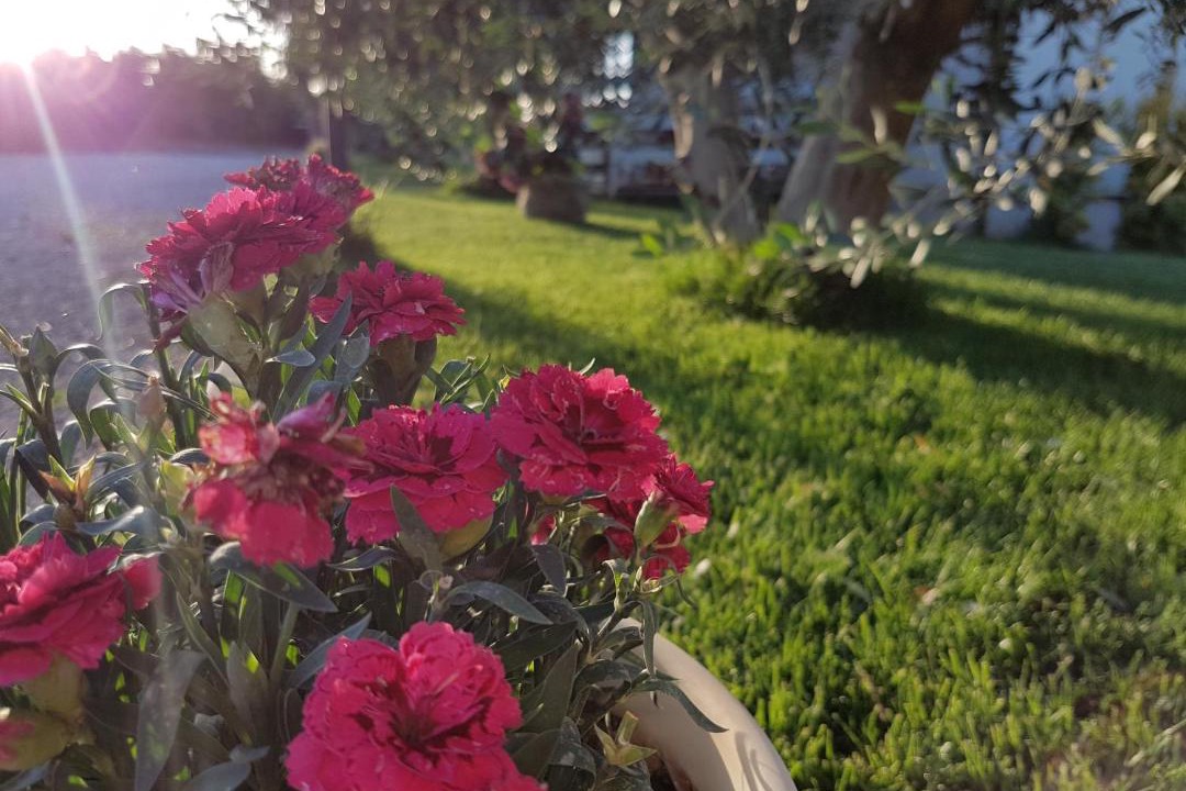 Photo of Outdoor in Rotondella