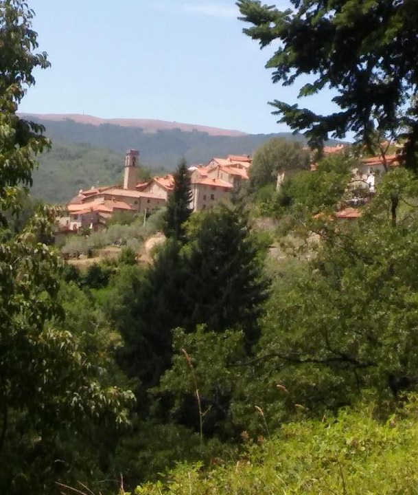 Photo of Others in Starda