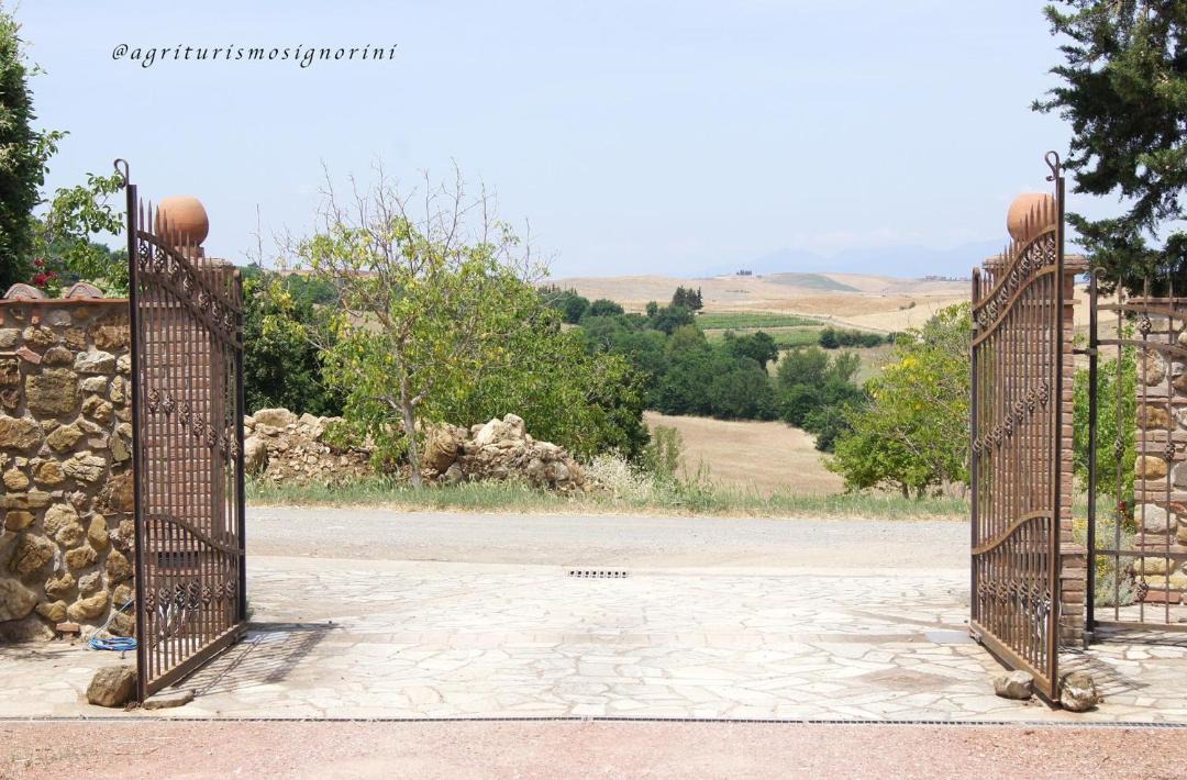 Photo of Others in Orciatico