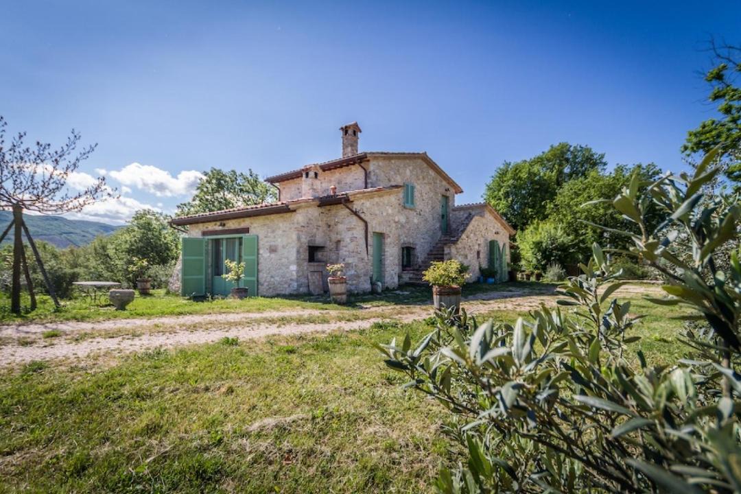 Photo of Others in Colpetrazzo