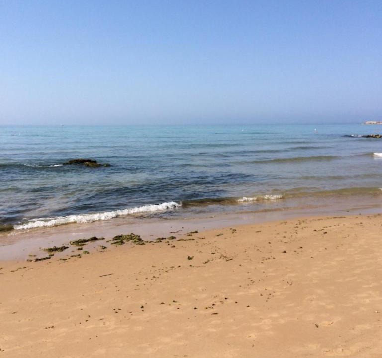 Photo of Others in Marina di Ragusa