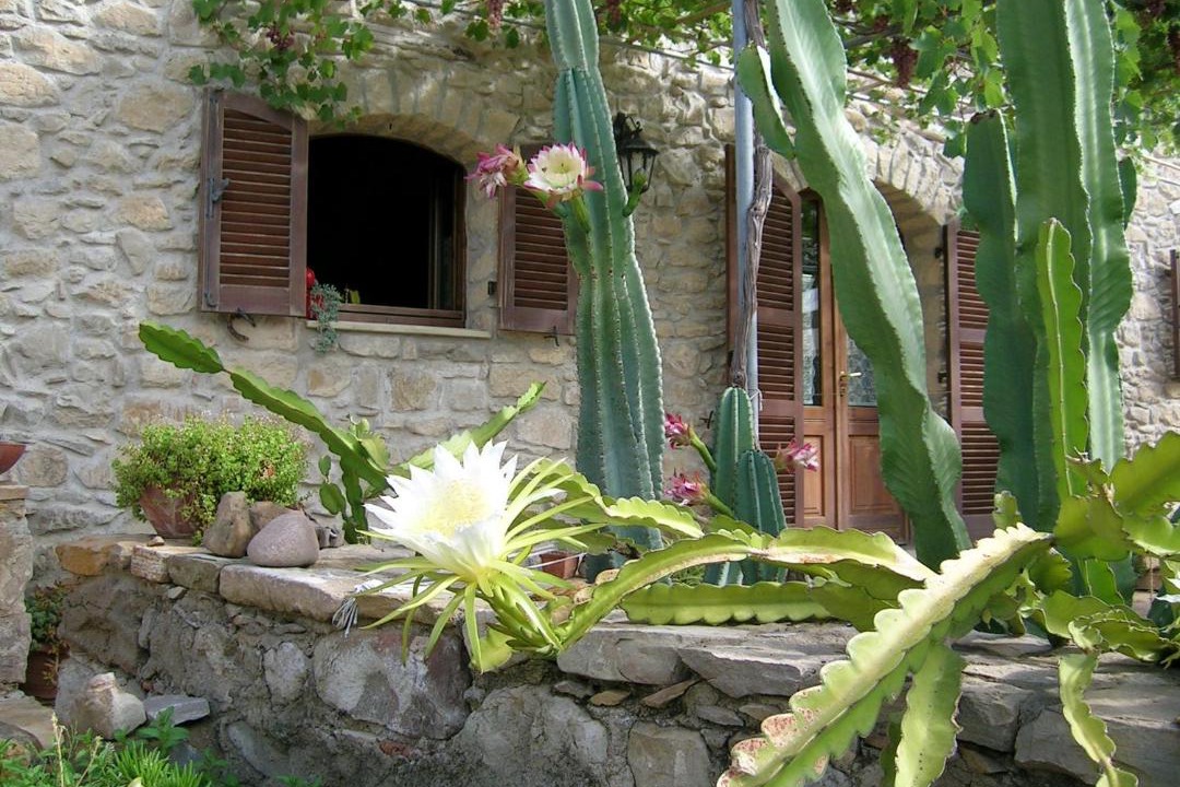 Photo of Others in Selegas