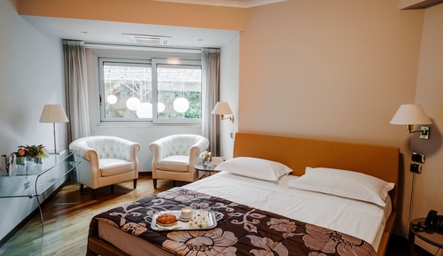 Superior Room, 1 Double Bed (Premium Room)