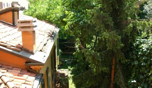 Apartment with Garden View